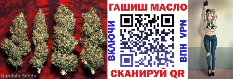 ТГК Wax  Майкоп 