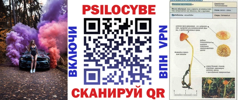 Галлюциногенные грибы мухоморы  МЕГА маркетплейс  Майкоп 
